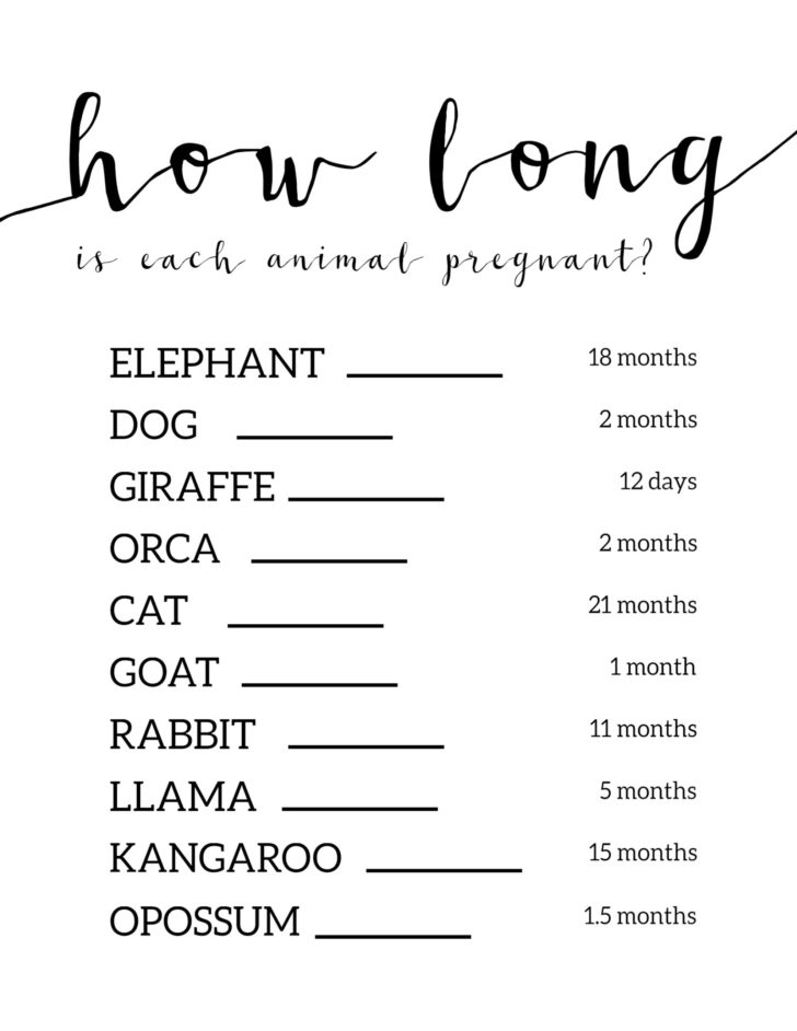 Printable Baby Shower Games Free